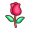 rose