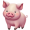 pigs