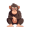 chimp