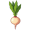 turnip