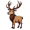 elk