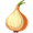 onion