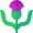 thistle