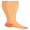 leg