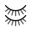lash