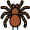 tarantula