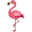 flamingo