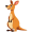 kangaroo