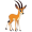 gazelle