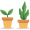 plants