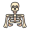 skeleton