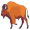 bison