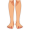 legs