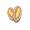 abalone