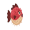 blowfish