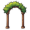 arbor