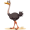 tr
