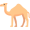 camel