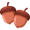 acorn