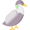 ide