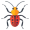 insect
