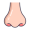 nose