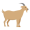 oat