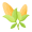 nc