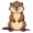 marmot