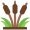sedge