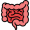 bowel