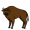 bison