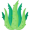 aloe