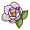 nol
