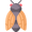 cicada