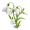 sn