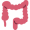 colon