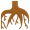 root