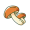 mushrooms
