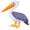pelican