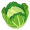 cabbage