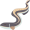 eel