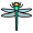 dragonfly