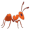 ants