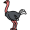 ostrich