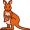 kangaroos