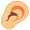 ear