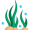 seaweed