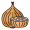 onion