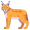 lynx